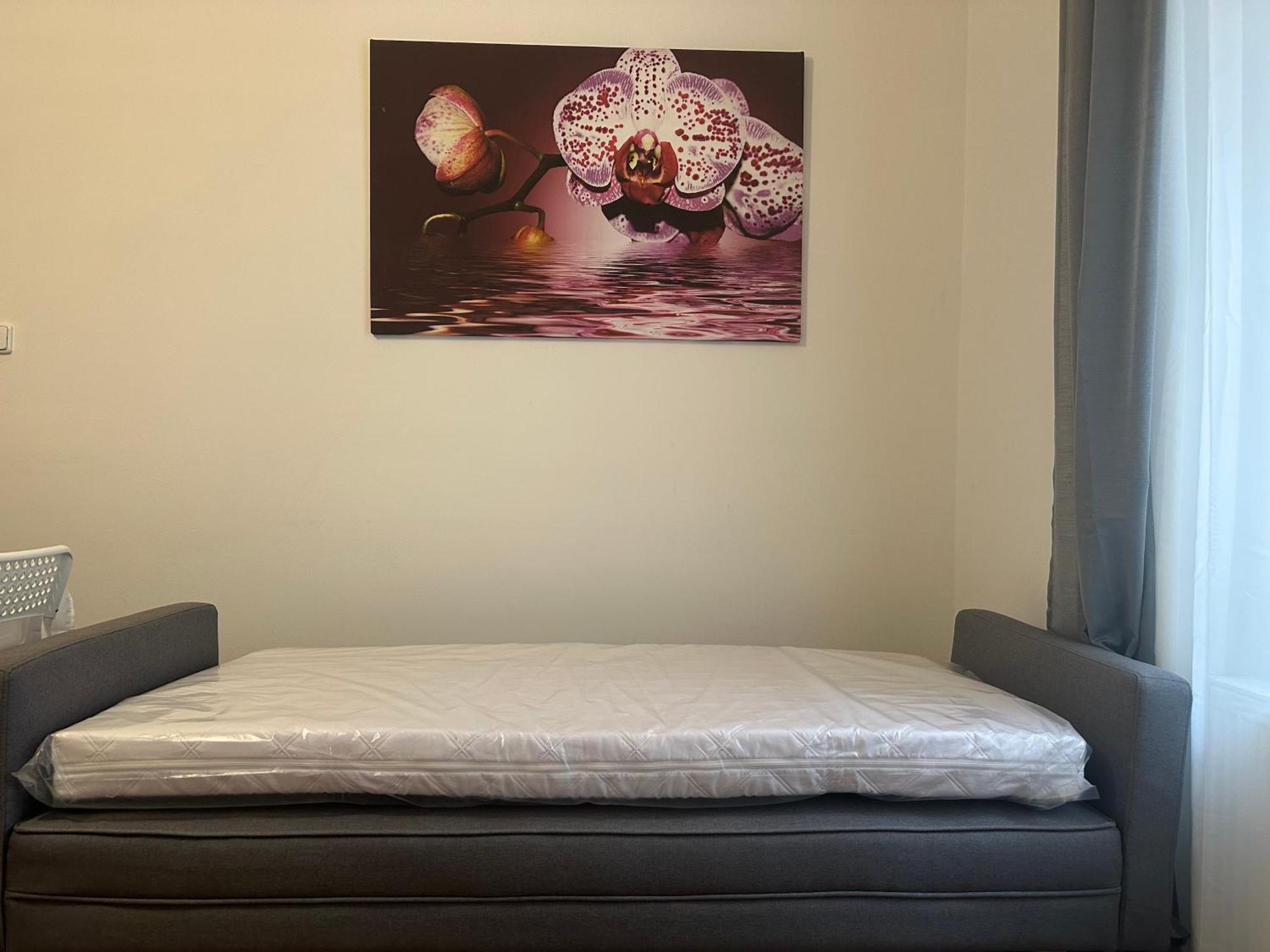 Star 2 Apartment *